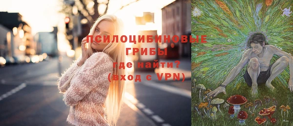 spice Армянск