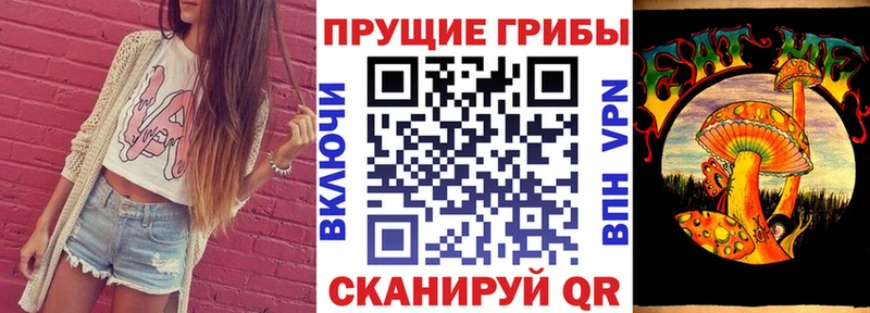 купить закладку  Константиновск  Псилоцибиновые грибы MAGIC MUSHROOMS 